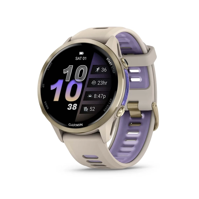 Forerunner® 970 gris